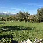 Degli Ulivi *