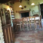 Degli Ulivi *