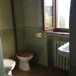 Degli Ulivi *