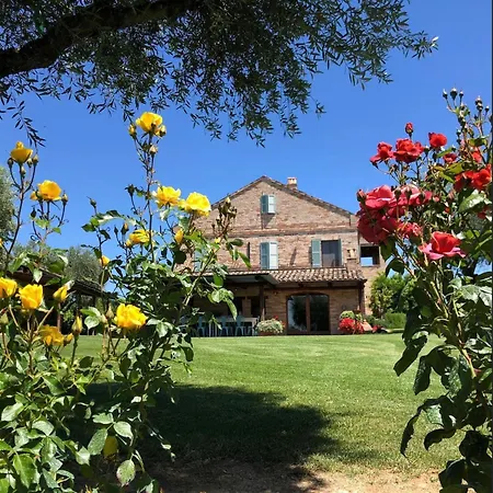 La Degli Ulivi フェルモ