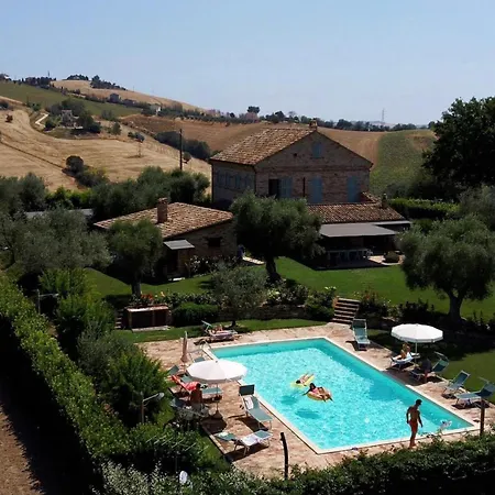 Degli Ulivi *