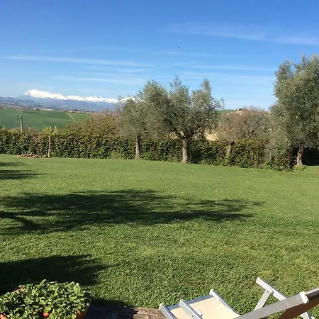 Degli Ulivi *