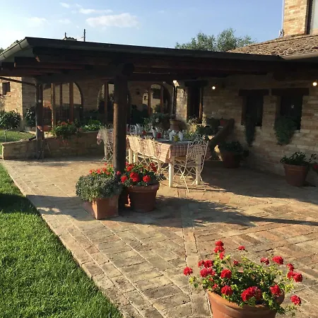 Degli Ulivi *