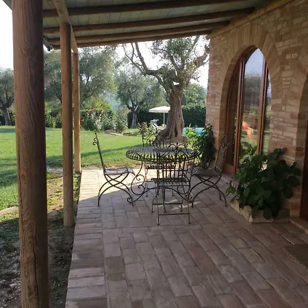 Degli Ulivi