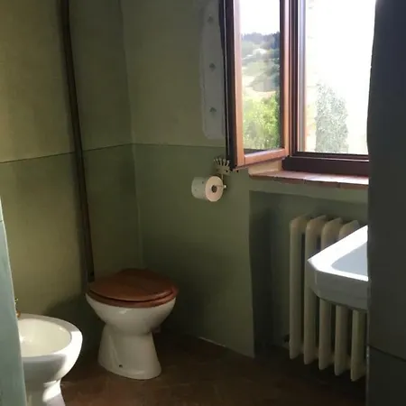 Degli Ulivi *